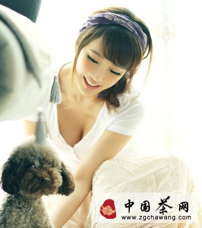  清肝明目降血壓 淡雅菊花養(yǎng)生功效強大 