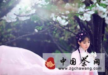 煙行媚視 少女艷茶 你品過嗎？